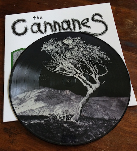 picture disc side b